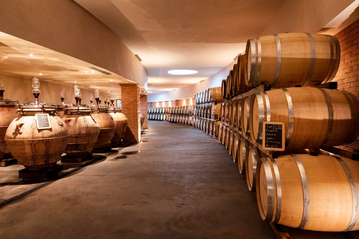 13 cantine d’autore da visitare in Toscana, da Antinori nel Chianti